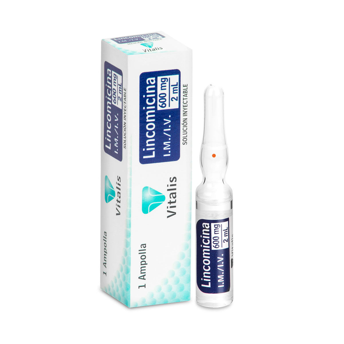 Lincomicina 600 mg / 2 ml Solución Inyectable